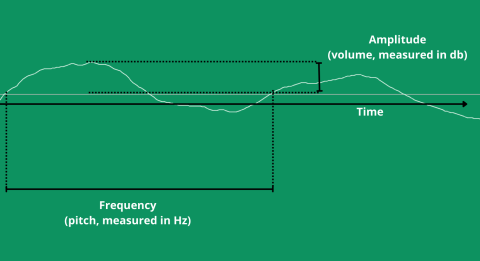 What is frequency response and how does it affect my music?